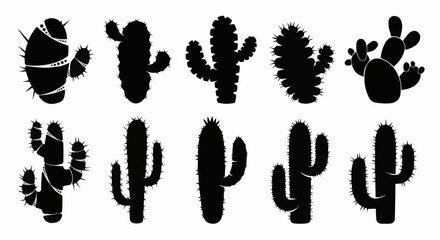 Silhouette Collection of Various Cactus Plants in Desert.