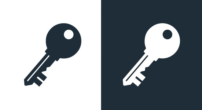 Two keys on contrasting backgrounds - Vector icon symbol for website - Icon vector - Blue icon vector - Line and glyph solid icon and logo template