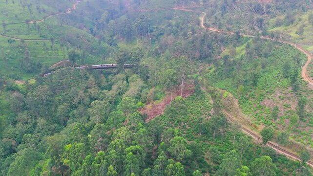 Aerial Push-In Shot of Train Crossing Iron Mountain Bridge Through Lush Green Hills