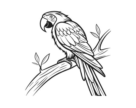A black and white line drawing depicts a macaw parrot with its beak open, perched on a textured tree branch with small leaves