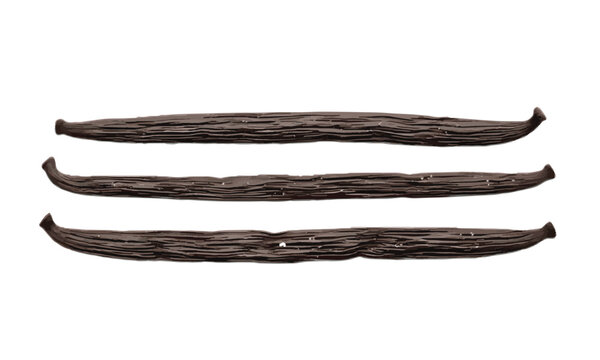 Isolated vanilla bean pod sticks and brown spices on a white background