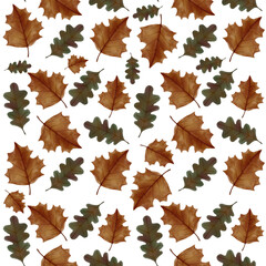 falling leaves during autumn season seamless repeating pattern vector art.eps
