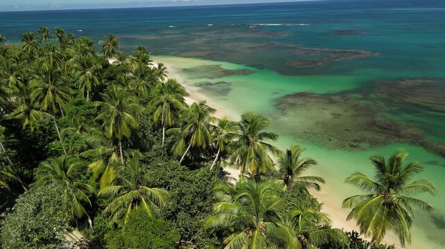 Drone flight showing gradient ocean colors from deep blue to bright emerald, meeting a pristine beach lined with palms