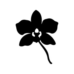 Black orchid flower silhouette isolated on white background vector