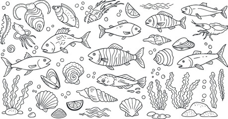 Hand-drawn vector illustration featuring a variety of fish, shells, and marine life, ideal for ocean-themed designs and coloring pages