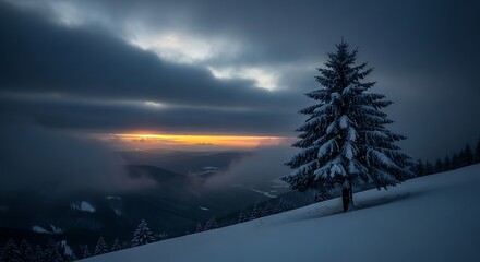 Lone snow covered pine tree on a mountain slope under dramatic stormy sky with sunset glow