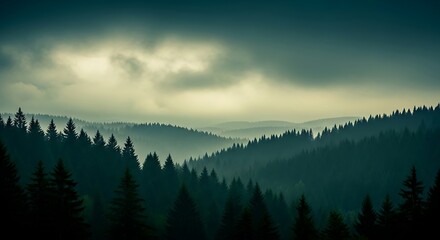 Misty mountain range with evergreen forest under dramatic cloudy sky