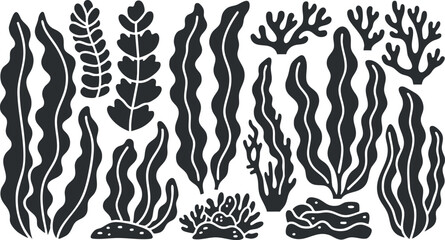 Collection of elegant silhouette vector illustrations featuring various seaweed and coral designs for marine-themed projects