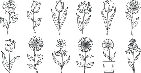 Hand-drawn vector illustration of various flowers including roses, tulips, daisies, and sunflowers for design projects