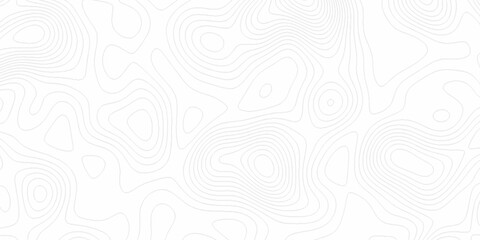 White wave paper curved reliefs abstract background, Abstract topographic contours map background. digital topographic contour map concept space geometric strip grid line. Natural discovery of maps.