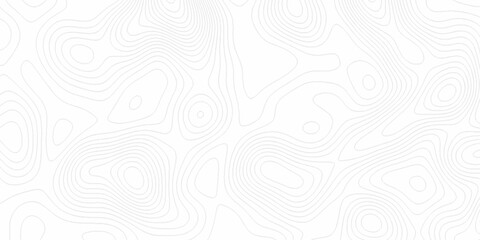 White wave paper curved reliefs abstract background, Abstract topographic contours map background. digital topographic contour map concept space geometric strip grid line. Natural discovery of maps.