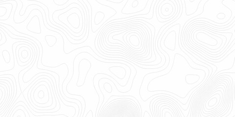 White wave paper curved reliefs abstract background, Abstract topographic contours map background. digital topographic contour map concept space geometric strip grid line. Natural discovery of maps.