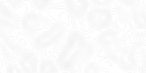 Naklejka premium White wave paper curved reliefs abstract background, Abstract topographic contours map background. digital topographic contour map concept space geometric strip grid line. Natural discovery of maps.