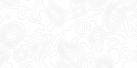 White wave paper curved reliefs abstract background, Abstract topographic contours map background. digital topographic contour map concept space geometric strip grid line. Natural discovery of maps.