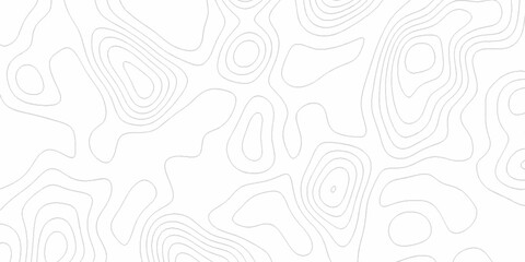 White wave paper curved reliefs abstract background, Abstract topographic contours map background. digital topographic contour map concept space geometric strip grid line. Natural discovery of maps.