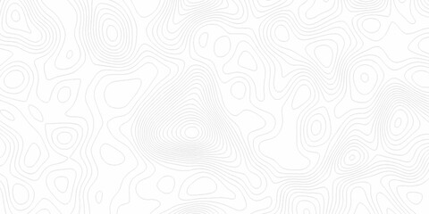 White wave paper curved reliefs abstract background, Abstract topographic contours map background. digital topographic contour map concept space geometric strip grid line. Natural discovery of maps.