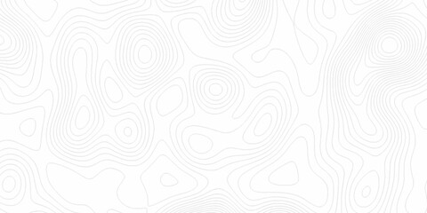 White wave paper curved reliefs abstract background, Abstract topographic contours map background. digital topographic contour map concept space geometric strip grid line. Natural discovery of maps.