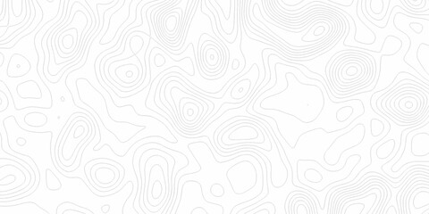 White wave paper curved reliefs abstract background, Abstract topographic contours map background. digital topographic contour map concept space geometric strip grid line. Natural discovery of maps.