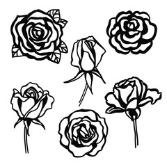set of hand made vector roses