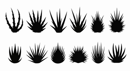 Collection of Black Silhouette Grass Clumps and Plants.