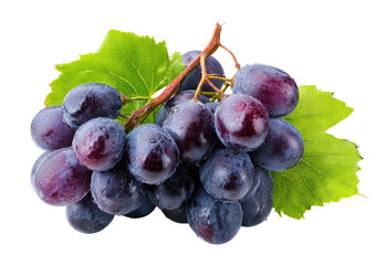 Close-up of a bunch of deep purple grapes, with vibrant green leaves