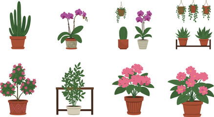 Collection of indoor potted plants featuring orchids, cacti, succulents, and flowering houseplants in decorative pots and stands for botanical illustrations