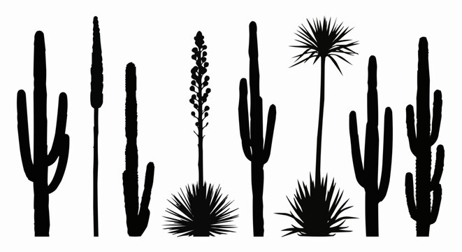Collection of Desert Cacti and Succulents Silhouettes.