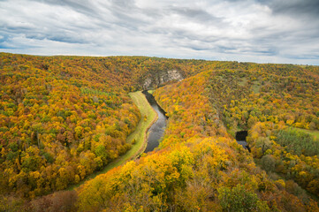 Thaya river during summer or autumn time. Sunny day in the Thayatal Valley, National park,boarder...
