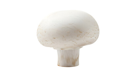 Single white button mushroom close up isolated on transparent background