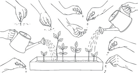Line art illustration depicting hands planting seeds, watering plants, and nurturing seedlings in a garden setting