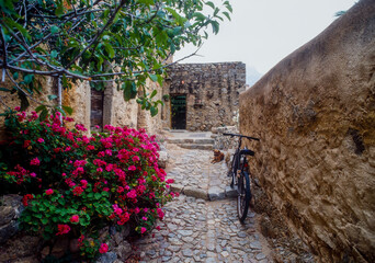 Narrow, picturesque cobbled lane in Corsica characterized by large bushes of bright pink flowers, a mountain bike parked to the side, and a brown dog lying on the stone steps