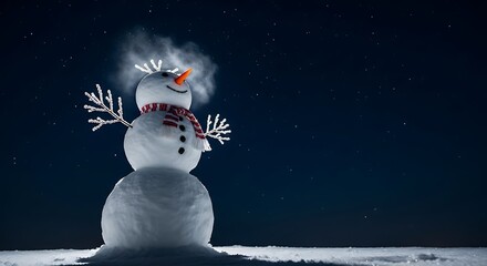 Smiling snowman with red striped scarf and twig arms under starry night sky winter