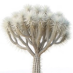 Spiky White Yucca Tree, Isolation, Desert Flora, Minimalist Design, Botanical Art, Minimalist Tree, Spiky Plants