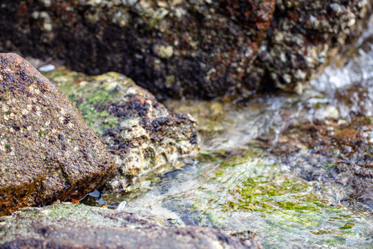 Close-up of flowing water, rocks, and moss on a tropical beach with clear water.