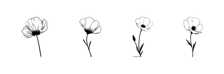 Hand Drawn Wildflower Doodle Sketch Set. Botanical Illustration Of Delicate Flowers In Bloom In Hand Drawn Style Collection. Nature-Inspired Floral Art. Isolated Vector Illustration