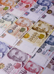 Money, currency of Singapore, dollar banknotes of various denominations. Singapore money