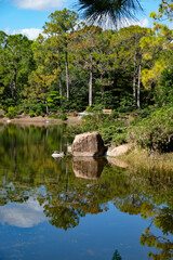 Looking vertically at a pond with boulders reflected in the water