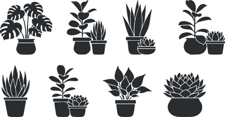 Stylish vector collection of various potted plants in modern design, ideal for home decor and botanical themes