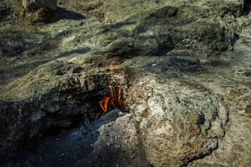 Soft daylight highlights natural flames rising from cracks in the rocky surface — a rare and...