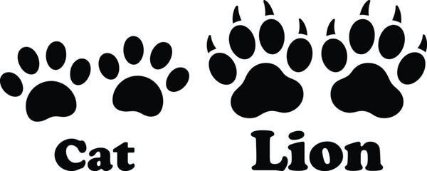 Fototapeta premium Illustrated comparison of domestic cat and wild lion paw prints