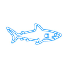A stylized outline of a shark, depicted in a glowing neon blue color, isolated on a white background.