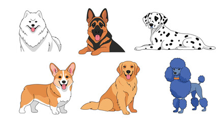 Fototapeta premium Adorable collection of six popular dog breeds including a Corgi Golden Retriever and Poodle isolated on a white background.
