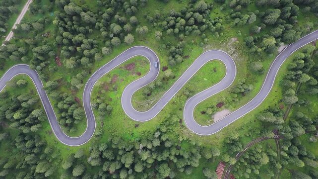 Aerial view of a winding road cutting through a dense forest, a ribbon of grey amidst a sea of green, Dolomites, Veneto, Italy.