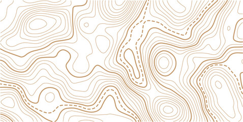 Abstract topo contour map on white background, Topographic map Topographic contour lines map seamless pattern.Topography background. Vector banner. Topo,
