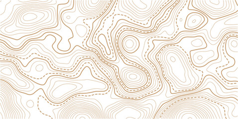 Topographic map contour background. Topo with elevation. The concept of a conditional geography scheme and contour line map image.Geographic mountain relief diagram line wave carve pattern.