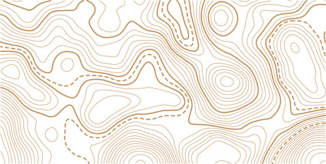 Topographic gold luxury map background. Geographic abstract pattern. The topo contour or wallpaper. The concept of a conditional geography scheme and contour line map image.