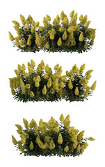 high-detail 3D render of vibrant yellow ornamental shrubs, perfect for landscape visualization, garden planning, outdoor scenes, and architectural presentation.