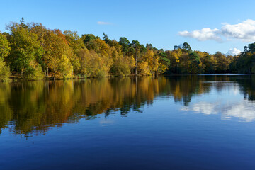 Autumn reflections in the pond. Buchan Country Park in Crawley, England.
