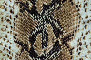 Python Leather Texture; snake skin pattern