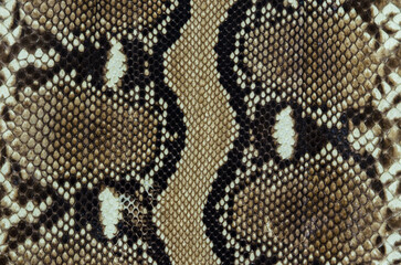 Python Leather Texture; snake skin pattern